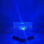 Dynamic Water Ripole Light
